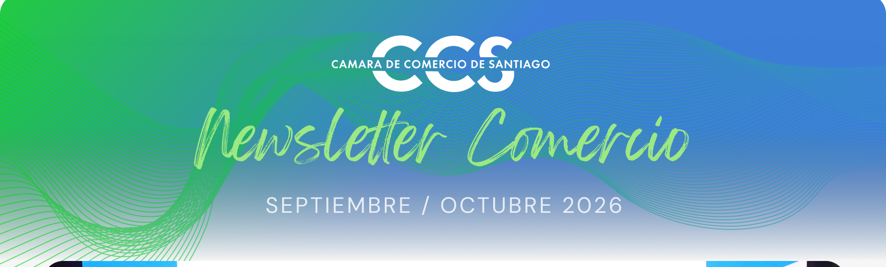 Newsletter Comercio Septiembre y Octubre 2026