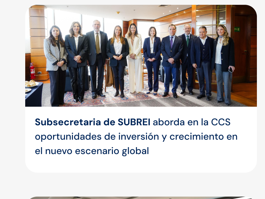 Subsecretaria de SUBREI aborda en la CCS oportunidades de inversión y crecimiento en el nuevo escenario global