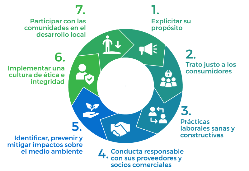Comité De Sostenibilidad