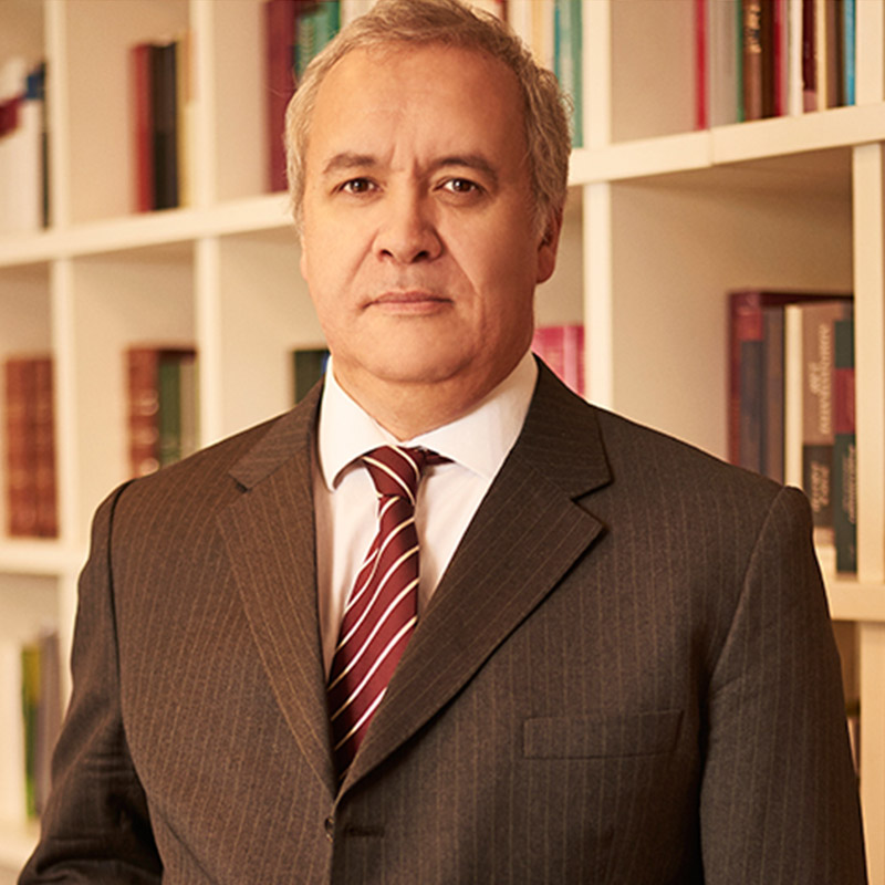 Comité De Apoyo Constitucional