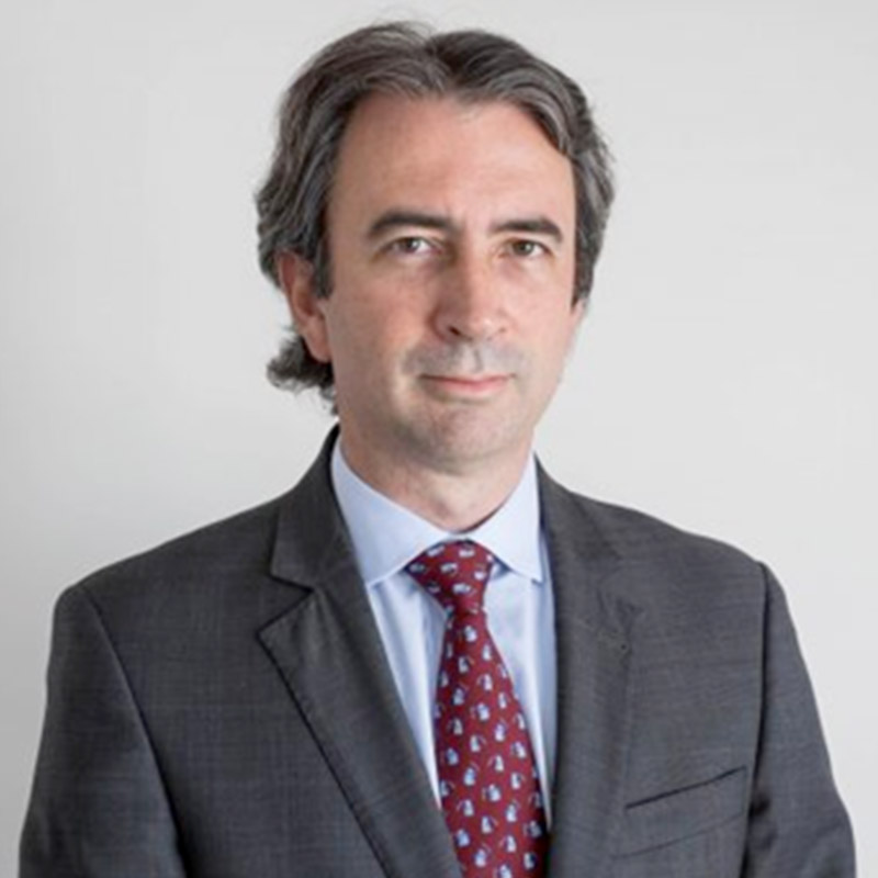 Comité De Apoyo Constitucional