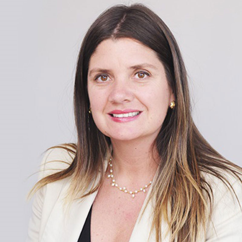 Comité De Apoyo Constitucional