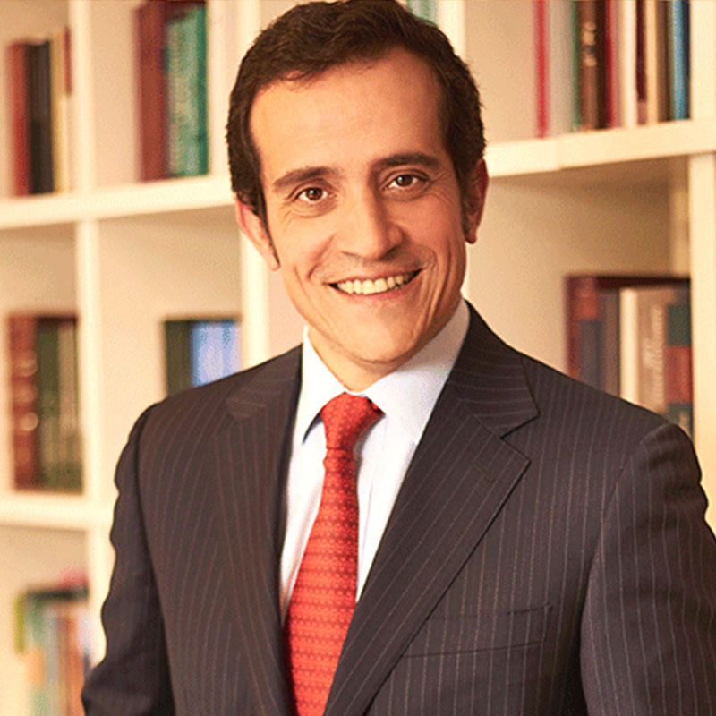 Comité De Apoyo Constitucional