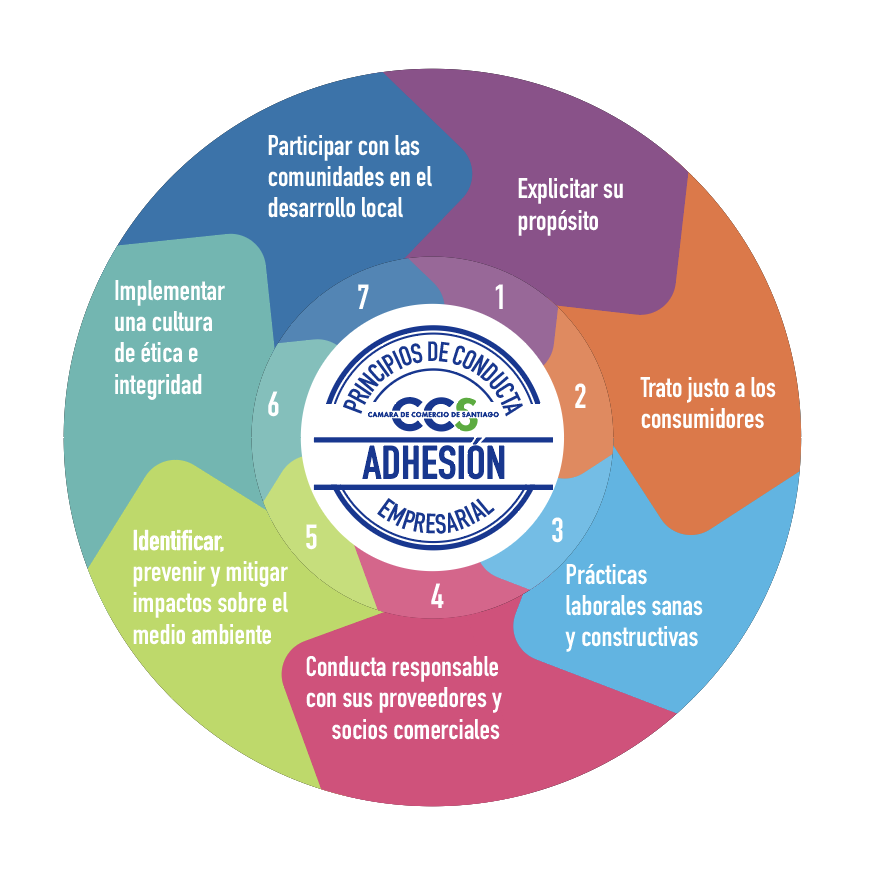 Ccs_ Principios De Conducta Empresarial