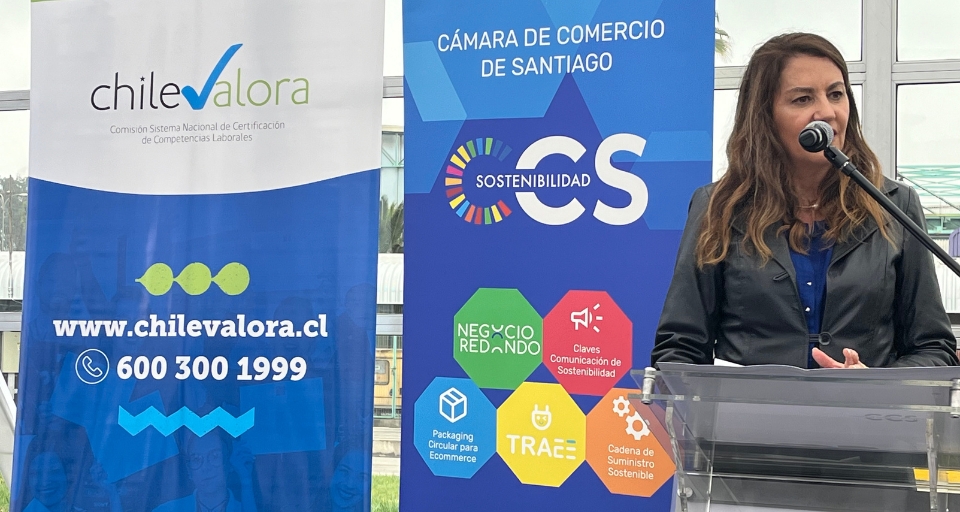 Chilevalora Podrá Certificar A Recicladores De Base Especialistas En Residuos Eléctricos Y Electrónicos