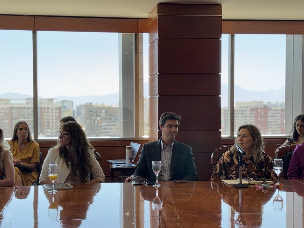 Última Sesión Del Comité De Sostenibilidad 2024: Un Año De Aprendizajes Y Compromiso Con El Futuro Última Sesión Del Comité De Sostenibilidad 2024: Un Año De Aprendizajes Y Compromiso Con El Futuro