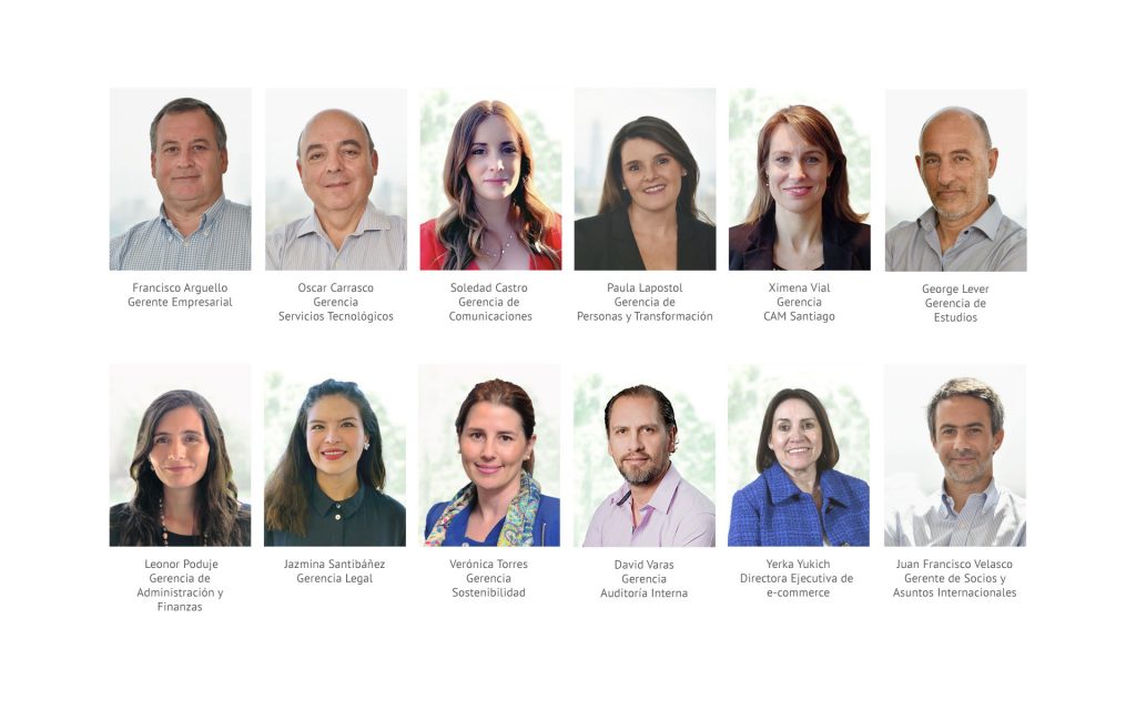 Estructura Organizacional