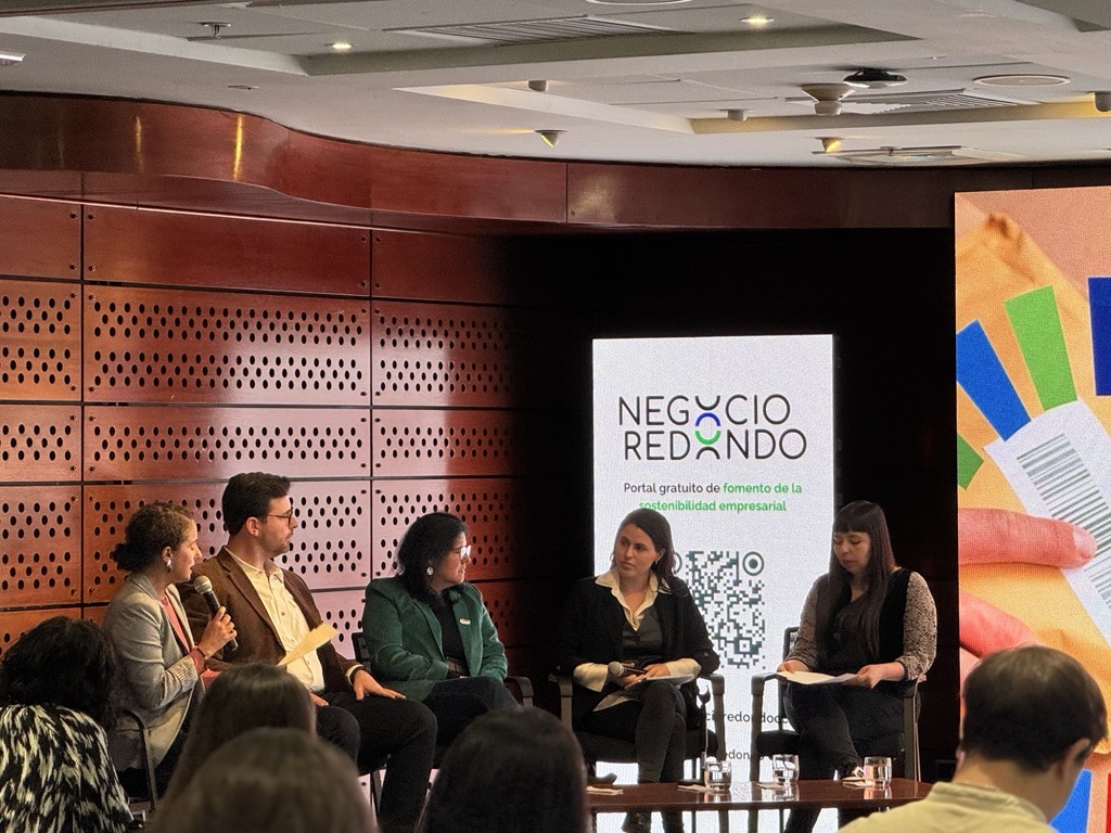 Eco-Aceleradora Impulsa La Circularidad Del Packaging En Ecommerce Y Beneficia A Más De 600 Pymes En Chile