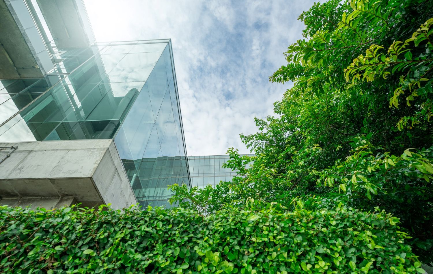 JLL oficinas